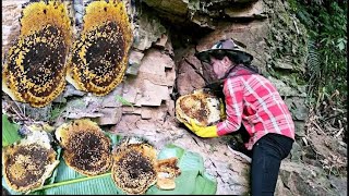 大臀子黄姐姐深山徒手掏了蜜蜂窝，为了吃那点蜂蜜，她不甘喂点鸡