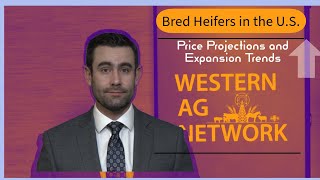 Bred Heifers in the U.S.: Price Projections and Expansion Trends