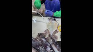 Skillful fresh fish processing