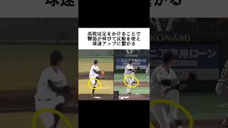 【巨人】戸郷翔征選手のピッチングフォーム解説【アーム投げでも大丈夫な理由】