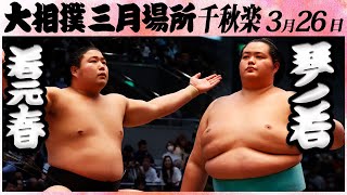 大相撲 若元春ー琴ノ若＜令和５年三月場所・千秋楽＞SUMO