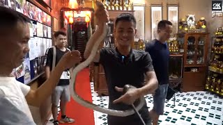 THỊT RẮN 9 MÓN Ngày Mưa Gió | Hà Còi