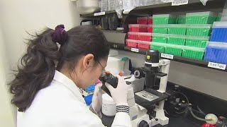 Researchers developing a universal flu vaccine