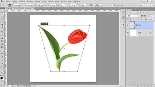 포토샵 변형 메뉴 알아보기
