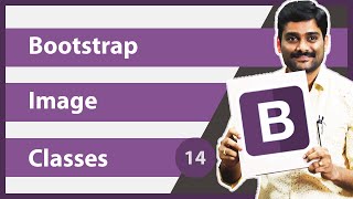 Bootstrap Image Classes - Bootstrap Tutorial 14
