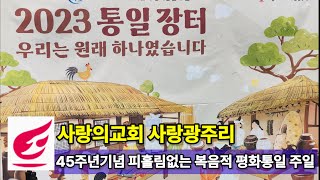 사랑의교회 창립45주년 복음적 평화통일 주일, 사랑광주리, 2023 통일장터, 오정현목사님