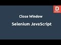 Selenium Javascript Close Browser
