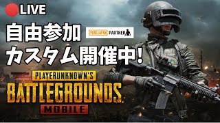 【#PUBGモバイル】7.31　PUBGモバイル参加型！誰でも参加OK♪【PUBG公式パートナー】【概要欄必読】