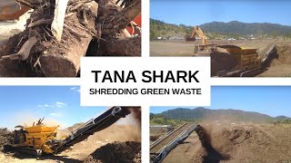 Tana Shark 440DT  Shredding Green Waste