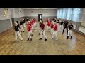 Dancing Queen Beginner Line Dance  Music Demo (Taniec Liniowy)