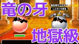 DQMSL | ドラゴンカーニバル 地獄級を非ガチャ産パーティで攻略！ | 116日目