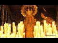 4k maría santísima de la amargura. semana santa sevilla 2022