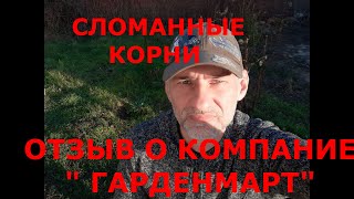 Новый ролик и новая тема. Отзыв о компании \