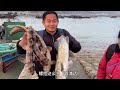 using pig lungs as bait we harvested five sharks and made a lot of money