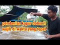 jadwal pemberian kapur dolomit pada kolam bioflok #biofloc