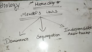 Mendel's Law of Inheritance || #mendel #class10 #viralvideo