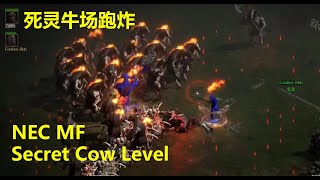 老王上线 暗黑2重制版战网死灵牛场跑炸KC//Diablo2R BN Nec MF Secret Cow.