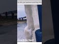 the most satisfying crushed icicle iced over for the boys pier viral tik tok meme 2022