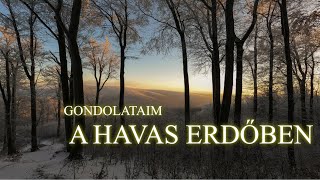 Gondolataim a havas erdőben hétköznapi és túrázós dolgokról / 2022 - Évértékelő