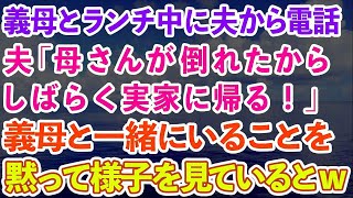 【スカッとする話】義母とランチ中に夫から電話「母さんが倒れたからしばらく実家に帰るから！」義母と一緒にいることを黙って様子を見ていると