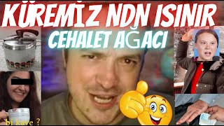 Cehalet ağacı - Dünyamız neden ısınıyor?