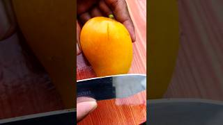 Shape Yellow Mango 🥭🥭 in summer 🌞🏖️ season #2023 😋😛 #shorts #youtubeshorts