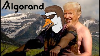 💁🏻‍♂️ czy Algorand dobry dla Elona i Trumpa ???