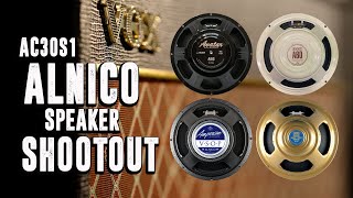 Alnico Speaker Shootout - VOX AC30S1 OneTwelve Guitar Amplifier