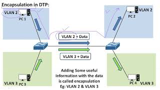 Dynamic Trunking Protocol (DTP): Understanding DTP and Encapsulation