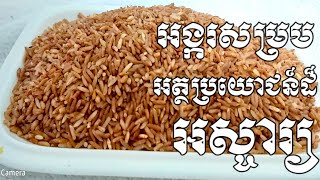 អត្ថប្រយោជន៏ដ៏អស្ចារ្យទាំង៣ប្រភេទរបស់អង្ករសម្រប - Health Inform