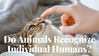 Do Animals Recognize Individual Humans?