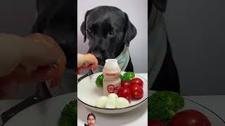 #dog #goldenretiever #mukbang #ilovegoldenretrievers #eating #goldendo