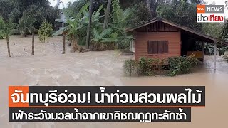 จ.จันทบุรี น้ำท่วมสวนผลไม้ เฝ้าระวังมวลน้ำจากเขาคิชฌกูฏไหลลงสู่เมือง | TNN ข่าวเที่ยง | 9-9-65