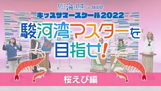 キッズサマースクール２０２２駿河湾マスターを目指せ！桜えび編 日本財団 海と日本PROJECT in 静岡県 2022 #40