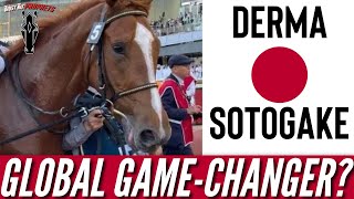 Kentucky Derby Hopeful - DERMA SOTOGAKE - A Game Changer?