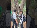 Jaadui tree🌴 ✨😵‍💫 | Vijay Saiwal | #shorts #shoollife #funny #school