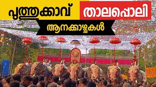 Puthukavu Thalapoli 2024( പുത്തുക്കാവ് താലപ്പൊലി)