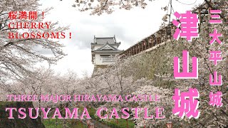 2022【4K】津山城で桜満開 TSUYAMA CASTLE CHERRY BLOSSOMS  津山城櫻花盛開