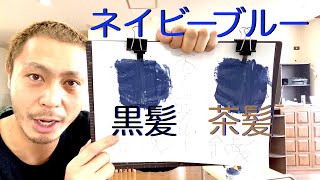 【カラーバター ネイビーブルー】黒髪と茶髪に染め比べ