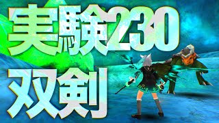 トーラム【実験230】双剣ソロ攻略