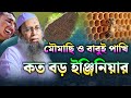 মৌমাছি ও বাবুই পাখি কত বড় ইঞ্জিনিয়ার । মুফতি আব্দুল বাতেন কাসেমী ওয়াজ। mufti abdul baten kasemi waz