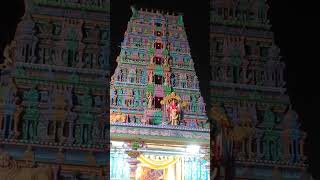 Peddamma talli temple #palakollu #bhakti #temple