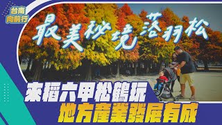 台南向前行｜來稻六甲松鶴玩  地方產業發展有成｜落羽松 赤山龍湖巖 林鳳營車站 六甲景點推薦_EP.73