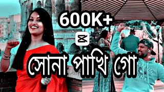 আমার সোনা পাখি গো আমার লহ্মী | Shona Phaki | Wahed ft Srabony | Sylhety Song | Official Video 2022|