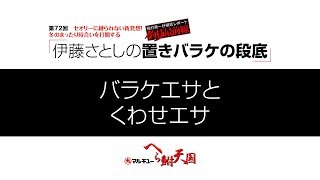 伊藤さとしの置きバラケの段底01