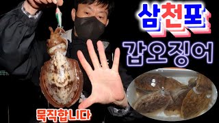 갑오징어 낚시 삼천포 도보 포인트 3번만에 성공한 그곳 신발짝 들이 나왔다 cuttlefish fishing