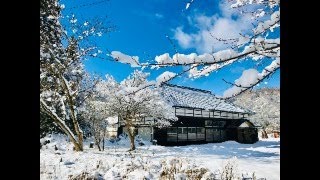 수밤라이브 -비미호에서 한국정치 미래 없다