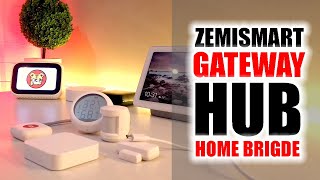 Zemismart Smart Gateway Hub Home Bridge Full Set 5 pcs - Tuya  Zigbee Smart Gateway Hub