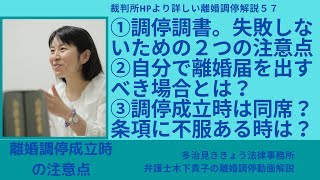 裁判所HPより詳しい離婚調停解説57!第57回目は離婚調停成立時の注意点、調停調書の調停条項に何をどのように記載してもらったらいいのかについて解説しています