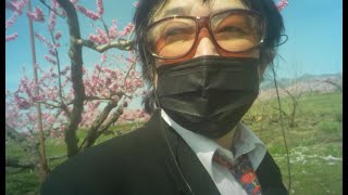 【dubbing whisper ASMR】Youth chasing after cherry blossoms and peach blossoms